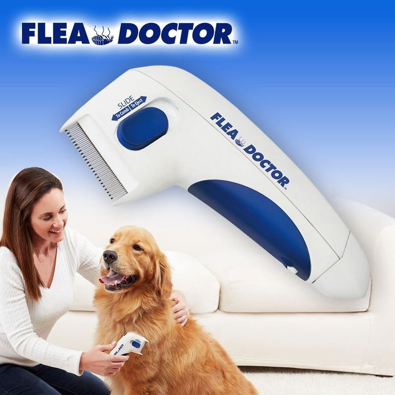 Remover χτενών ψύλλων της Pet σκυλιών Hallupets ηλεκτρικοί ηλεκτρικοί ψύλλος και χτένα κροτώνων