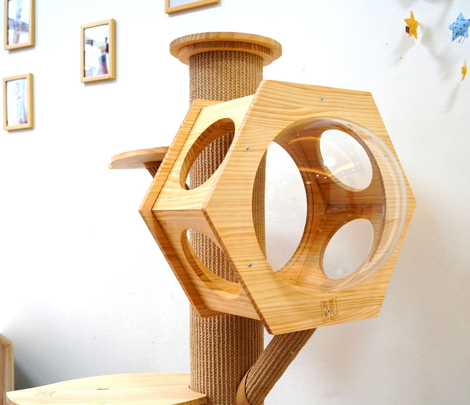 Hexagon ξύλινη γάτα σπηλιών κρεβατιών της Pet πολυτέλειας που αναρριχείται στον πύργο με τη διαστημική κάψα