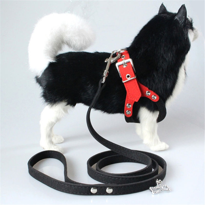Hallupets μαλακό γεμισμένο πλέγμα περιλαίμιων λουριών στήθος σκυλιών λουριών καθορισμένο και πίσω έλξη